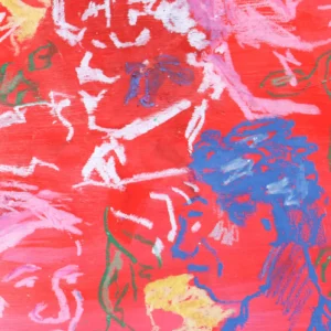 Bárbara Padovani